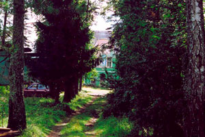 Аллея парка.